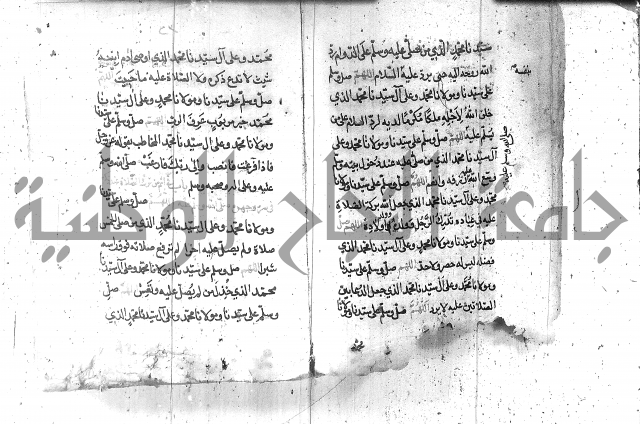 تنبيه الانام