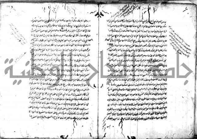 حاشية في المعاني والبيان 