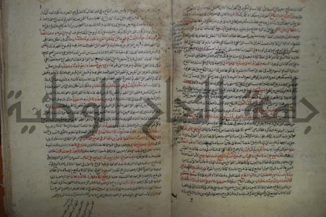 نهاية المحتاج الى شرح  المنهاج الجزء الثاني 