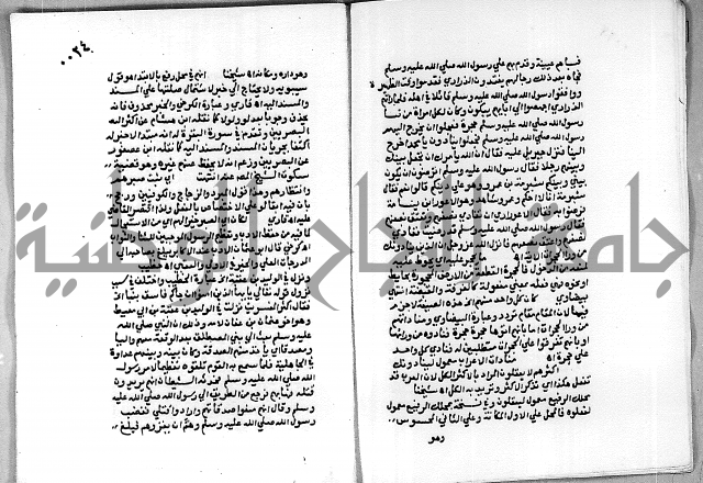 حاشية الجمل على تفسير الجلالين 