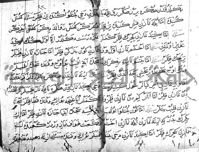 عبارات بالتركية