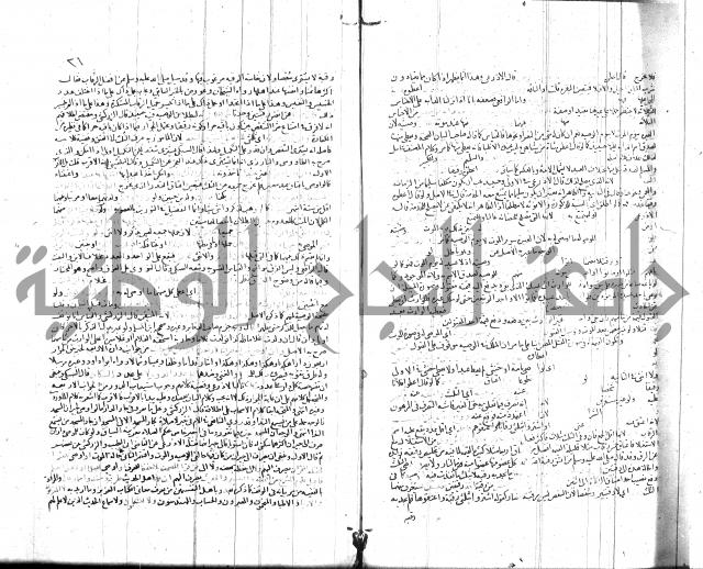 شرح الروض ج2