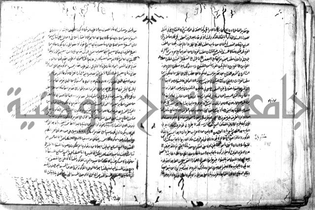 حاشية في المعاني والبيان 