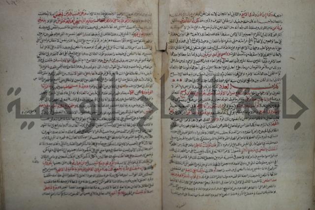 نهاية المحتاج الى شرح  المنهاج الجزء الثاني 