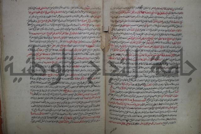 نهاية المحتاج الى شرح  المنهاج الجزء الثاني 