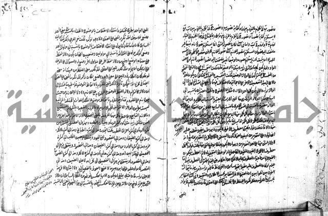 حاشية في المعاني والبيان 