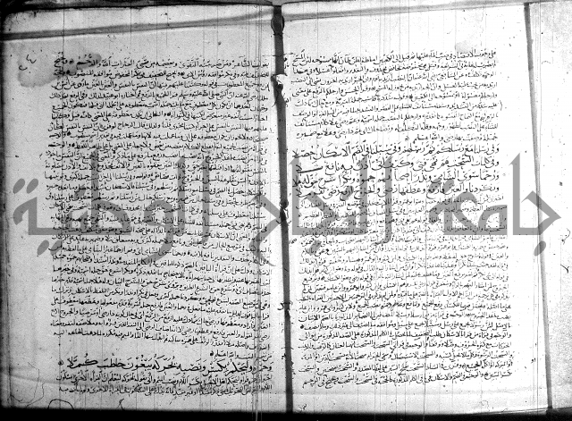 شرح الشاطبية