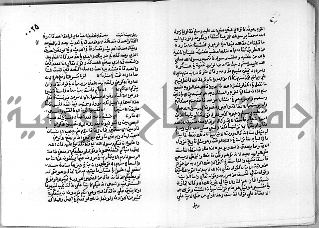 حاشية الجمل على تفسير الجلالين 