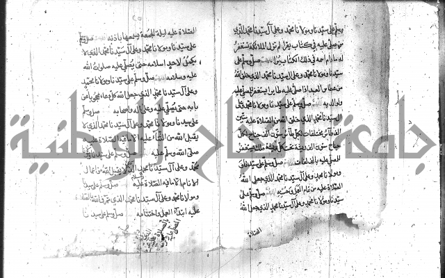 تنبيه الانام