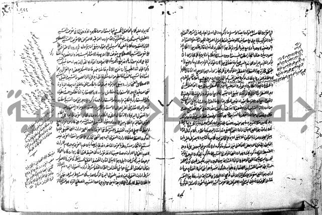 حاشية في المعاني والبيان 