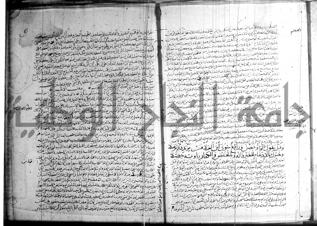 شرح الشاطبية