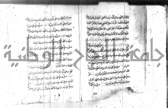 تنبيه الانام