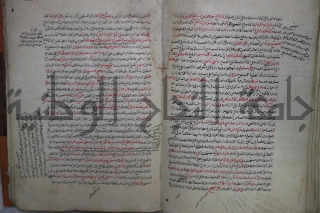 نهاية المحتاج الى شرح  المنهاج الجزء الثاني 