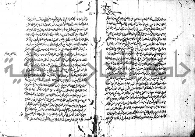 حاشية في المعاني والبيان 