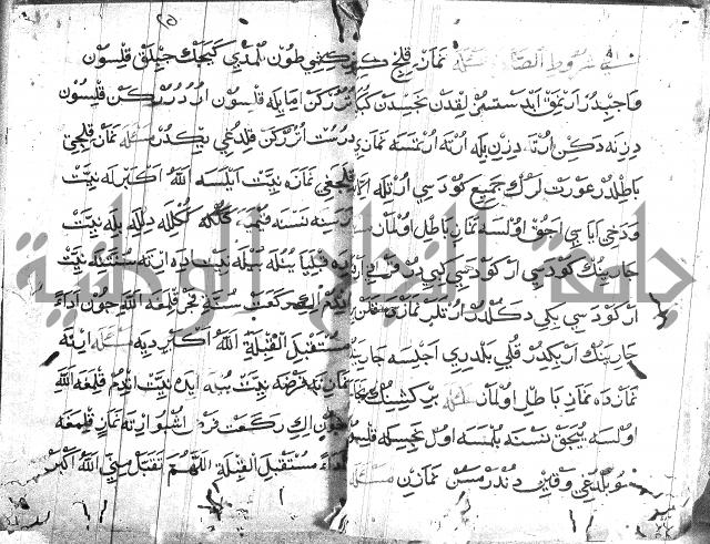 عبارات بالتركية