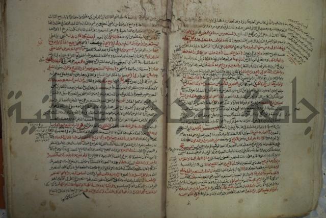 نهاية المحتاج الى شرح  المنهاج الجزء الثاني 