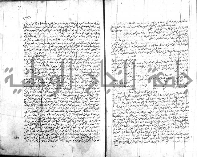 شرح الروض ج2