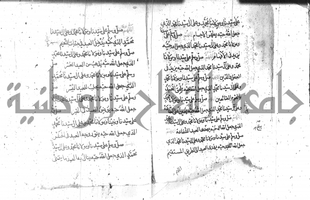 تنبيه الانام
