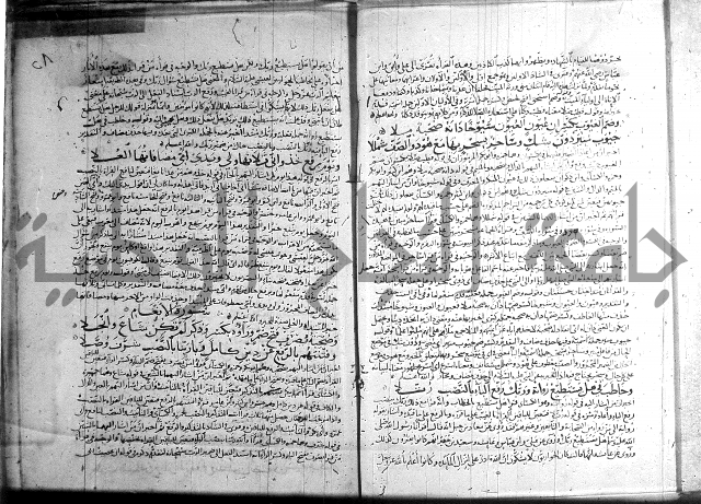 شرح الشاطبية