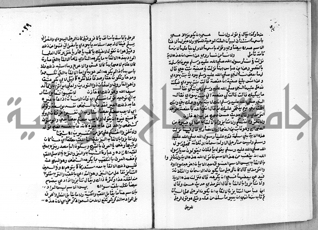 حاشية الجمل على تفسير الجلالين 