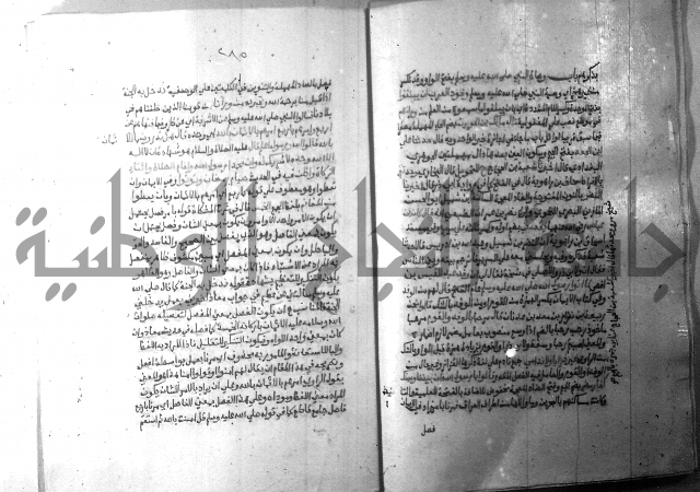 ارشاد الساري 10    