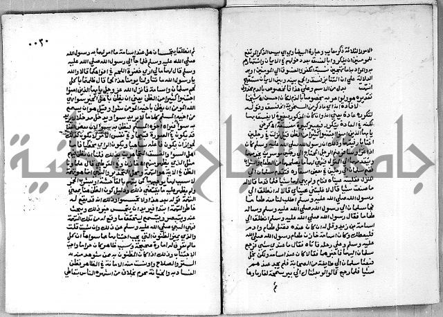 حاشية الجمل على تفسير الجلالين 