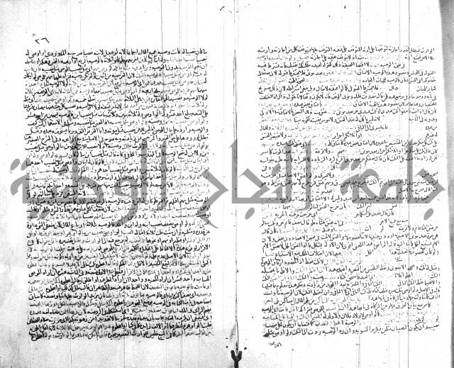 شرح الروض ج2