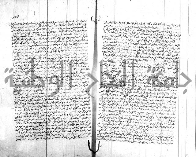 شرح الروض ج2