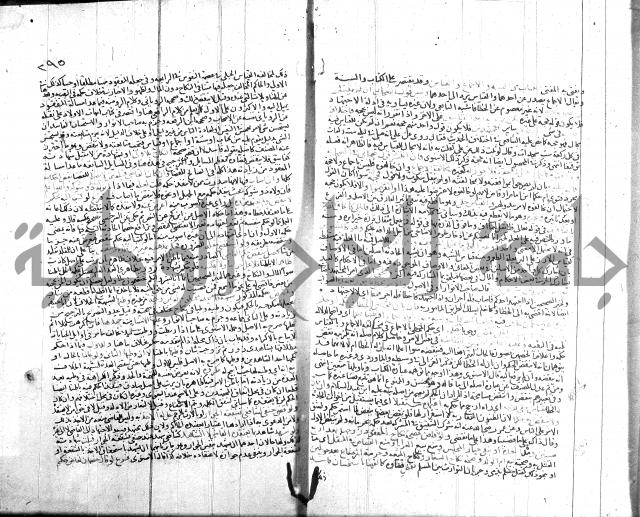 شرح الروض ج2