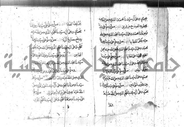 تنبيه الانام
