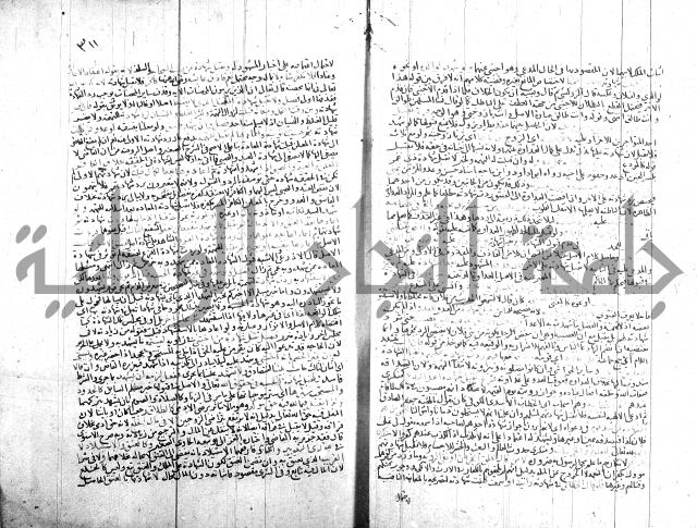 شرح الروض ج2