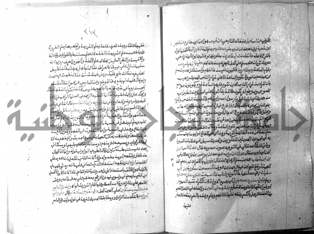 ارشاد الساري 10    