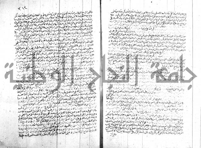 شرح الروض ج2