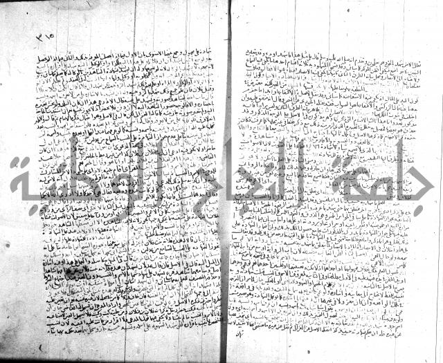 شرح الروض ج2