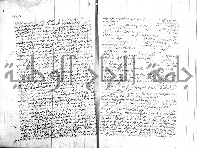 شرح الروض ج2