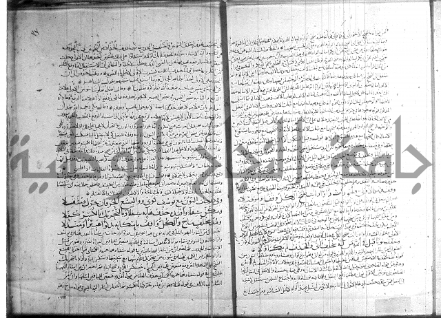 شرح الشاطبية