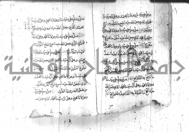 تنبيه الانام