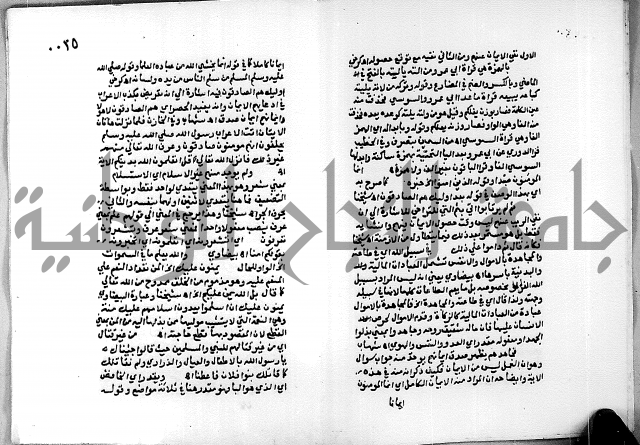 حاشية الجمل على تفسير الجلالين 