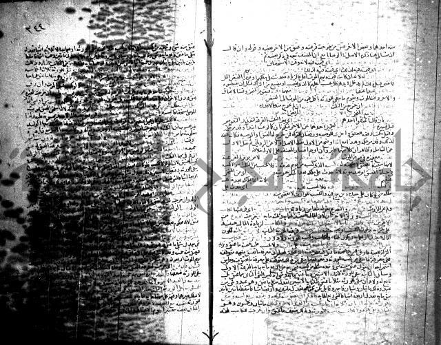 شرح الروض ج2