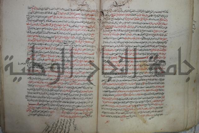 نهاية المحتاج الى شرح  المنهاج الجزء الثاني 