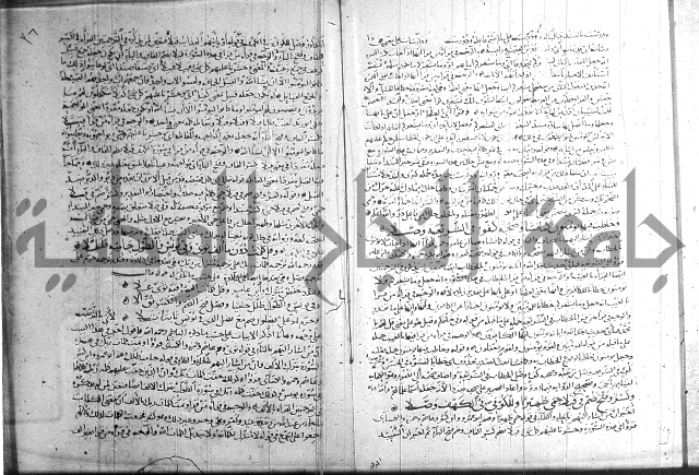 شرح الشاطبية