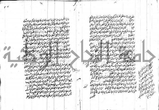 مهمات المفتين للحنفية