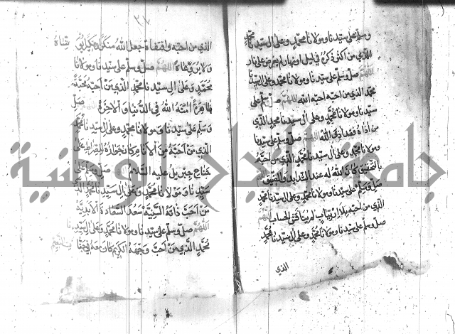 تنبيه الانام