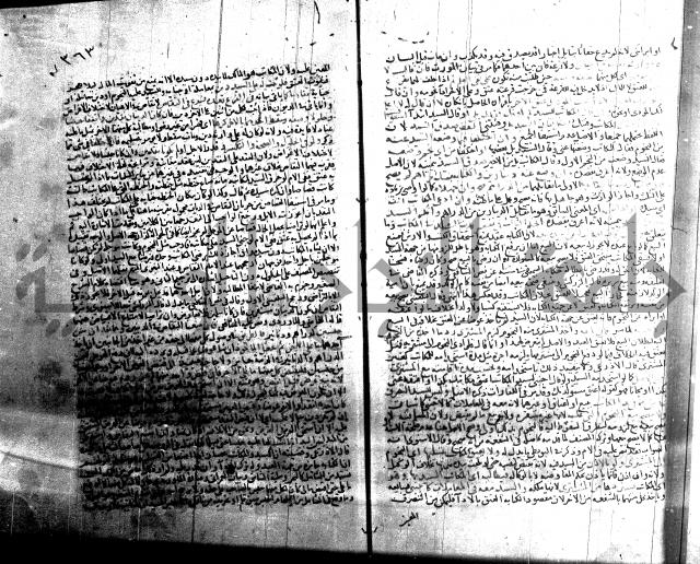 شرح الروض ج2