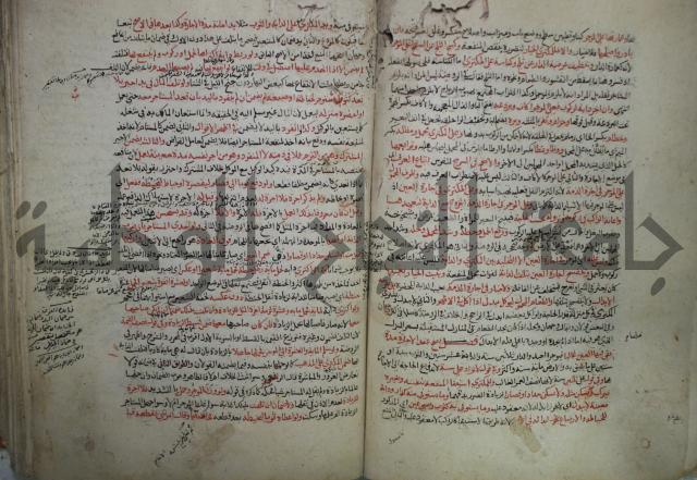 نهاية المحتاج الى شرح  المنهاج الجزء الثاني 