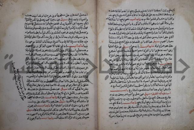 فتاوى لاحمد رمضان الأنشاصي