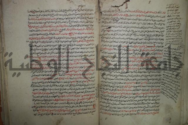 نهاية المحتاج الى شرح  المنهاج الجزء الثاني 