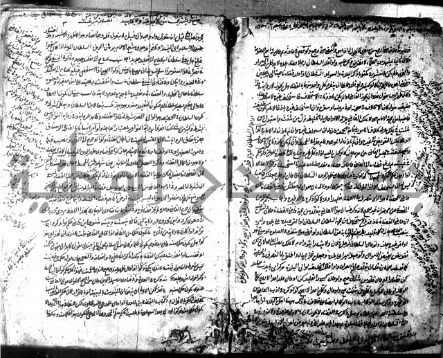 الفصول 