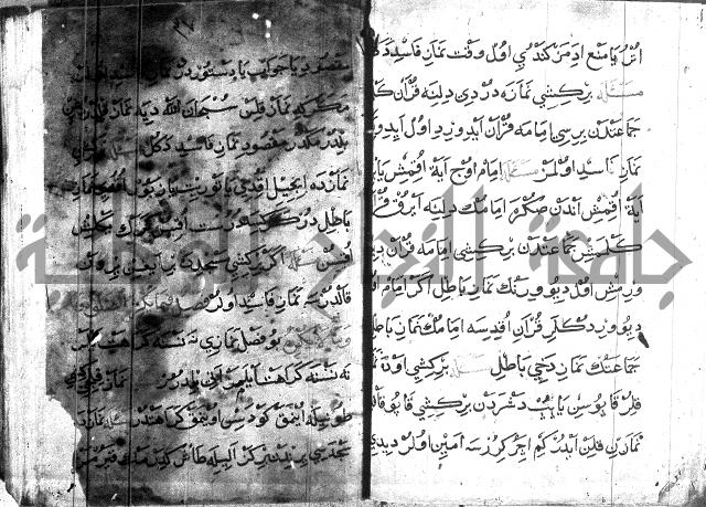 عبارات بالتركية