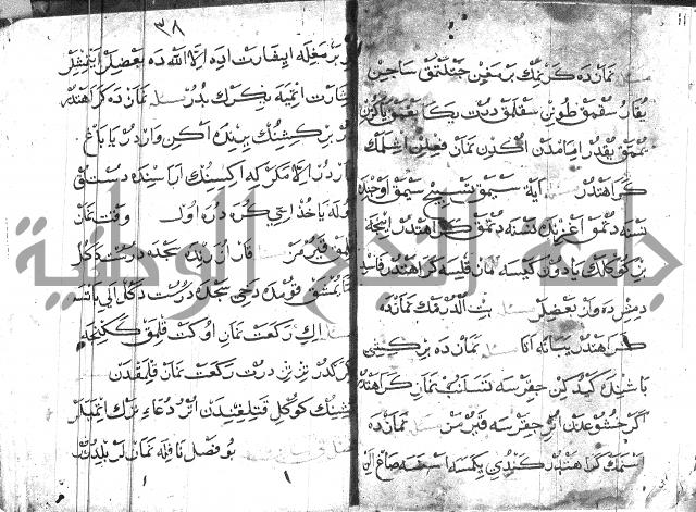 عبارات بالتركية